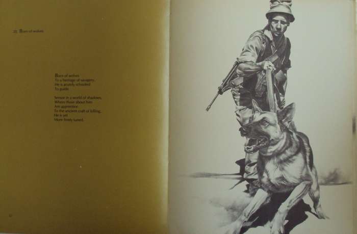 Images of War  Peter Badcock