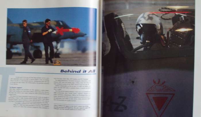 More Than Game A Salute to the South African Air Force Herman Potgieter