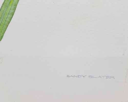Lovely Original Sandy Slater Watercolour Pasted On Board - 30cm/39cm