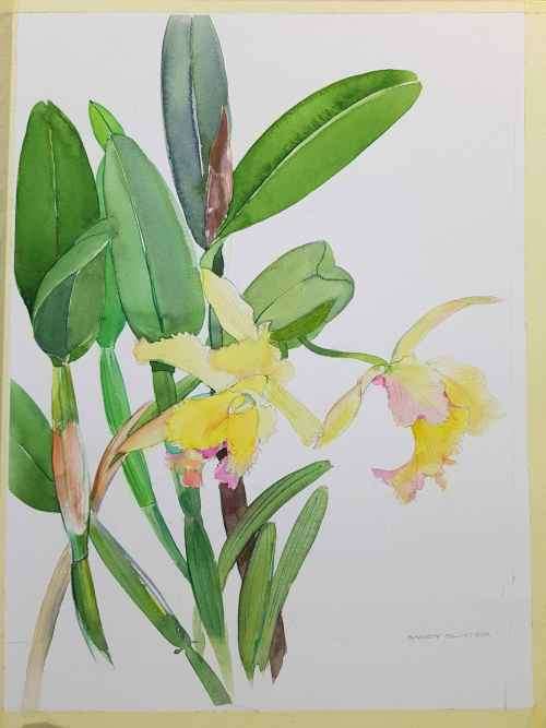 Lovely Original Sandy Slater Watercolour Pasted On Board - 30cm/39cm