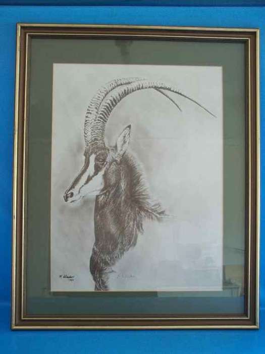 Beautiful Animal Print By K Wacker - Frame 68,5cm/56cm - Picture: 51cm/38,5cm (Behind Glass)