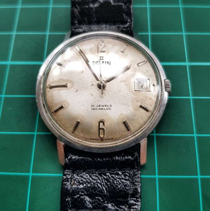 Delfin 21 Jewel Incabloc Vintage Men's watch