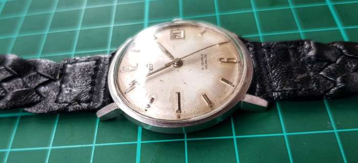 Delfin 21 Jewel Incabloc Vintage Men's watch