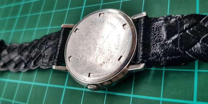 Delfin 21 Jewel Incabloc Vintage Men's watch