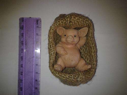 Cute little pig in a sack