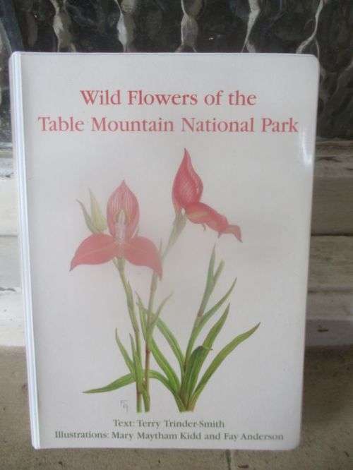 WILD FLOWERS OF THE TABLE MOUNTAIN NATIONAL PARK