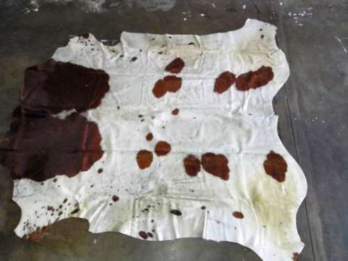 A grade brown and white Nguni skin