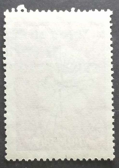 Argentina 1958 International Geophysical Year 40C used