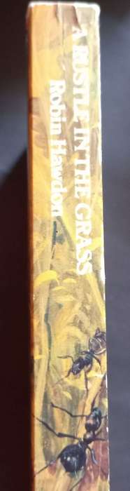 A Rustle in the Grass - Robin Hawdon - Softcover - Fantasy 1st Edition