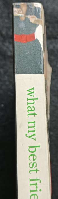 What my Best Friend Did - Lucy Dawson - Softcover - 279 pages