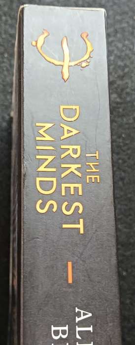 The Darkest Minds - Alexandra Bracken - Softcover - 389 pages