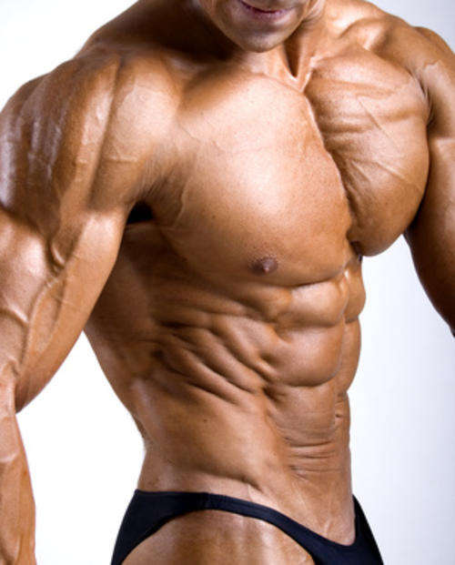 213 BODYBUILDING TRAINING FAT BURNING FITNESS EBOOKS / E-BOOKS ON DVD BRILLIANT ITEM