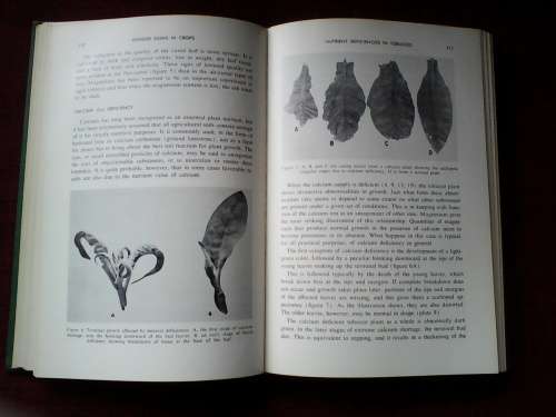 Hunger Signs in Crops. Symposium 3rd Ed 1964