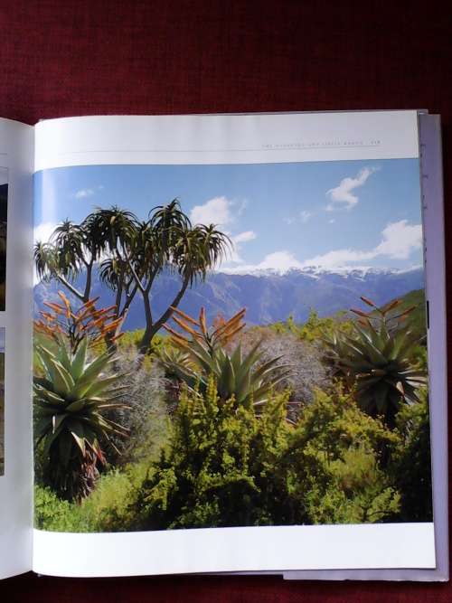 The Fairest Cape by Mark Skinner. H/C 1st 2001