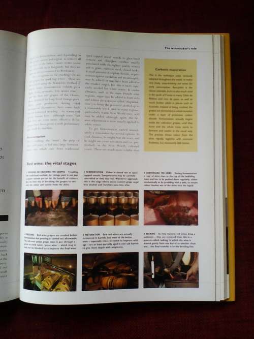 Discovering Wine by Joanna Simon. H/C. Large format. 160 pp.