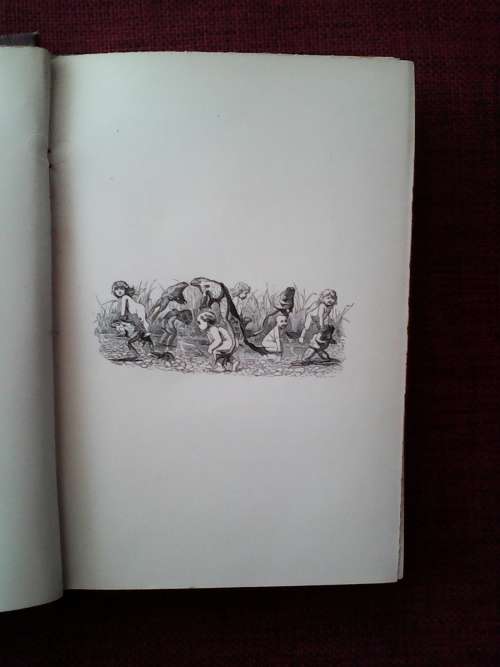 The Water-Babies by Charles Kingsley. 1896. With 100 original illustrations. H/C. 330 pp.