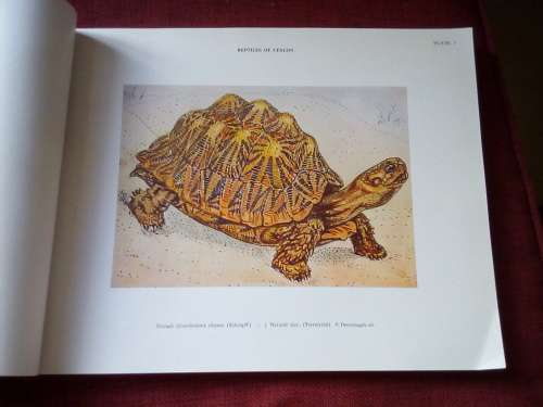 A Colored Atlas of Some Vertebrates from Ceylon, Vol II: Terrapod Reptilia. 1953. S/C.