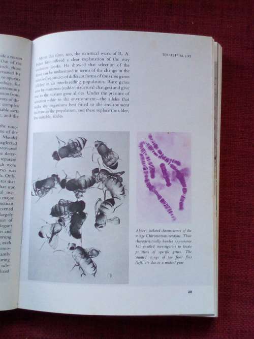 Planets and Life by PHA Sneath. 1st 1970. S/C. 216 pp.