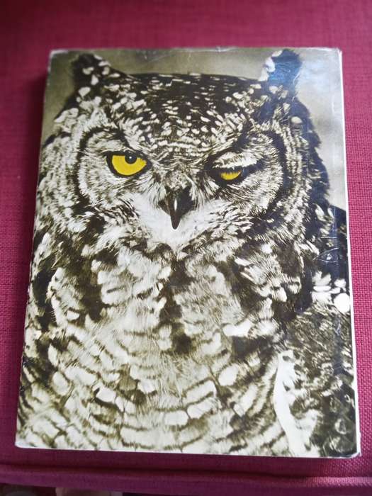 Etosha Image, by Helmut Zur Strasse. Signed 1st edition 1974. Large format H/C with jacket.