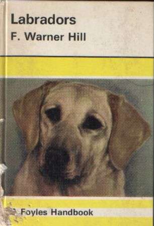 Labradors