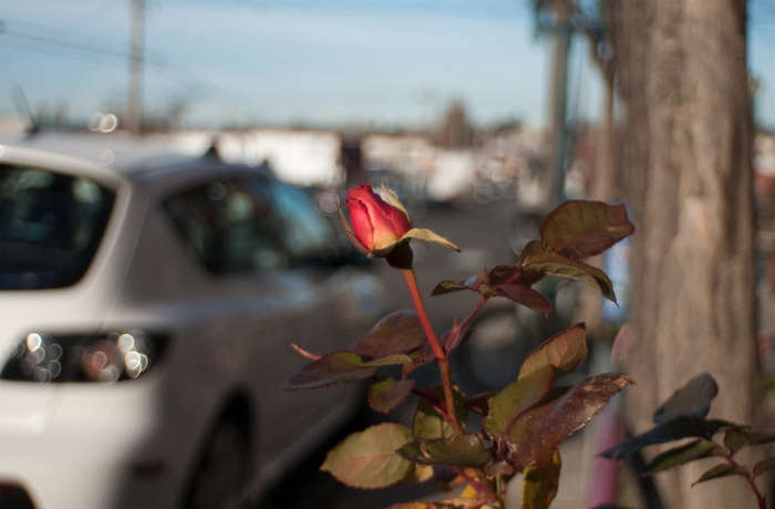 W-KOMURA 28mm f3.5 m42