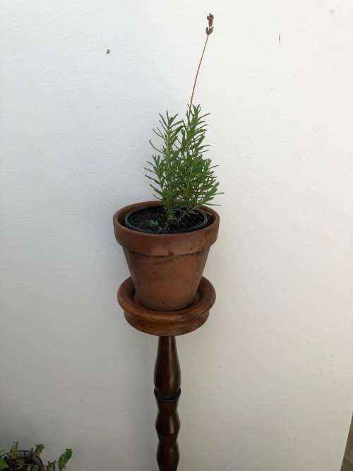WOODEN STAND