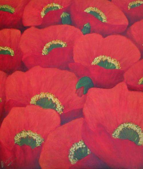 Massed Poppies4