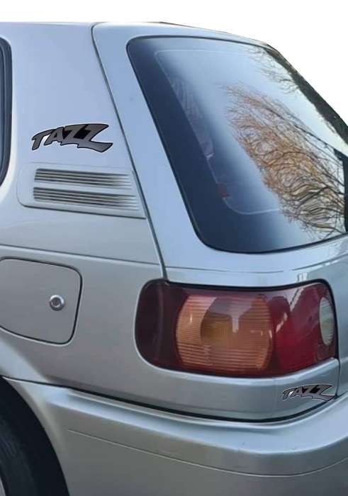 Tazz Sticker Set