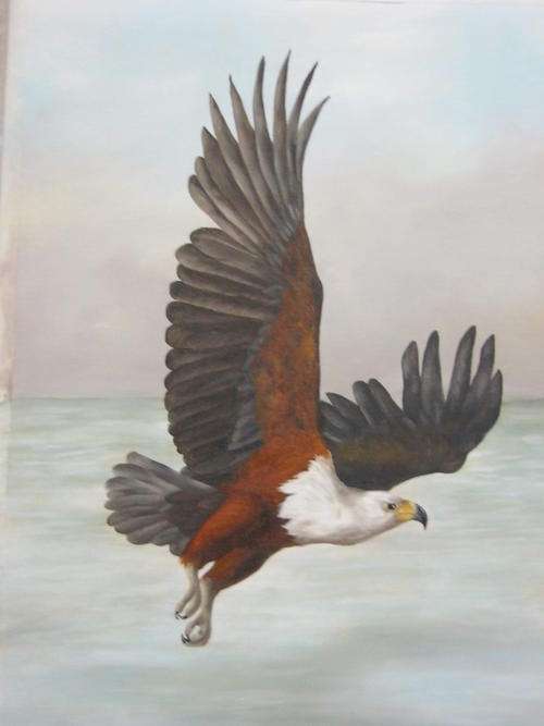 AFRICAN FISH EAGLE  BY SALLY DELL