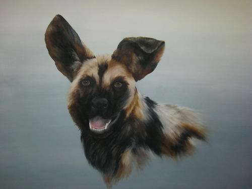WILD DOG  BY SALLY DELL
