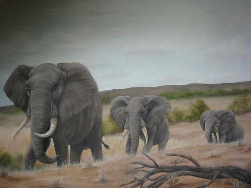 ELEPHANTS ON THE MOVE  BY SALLY DELL