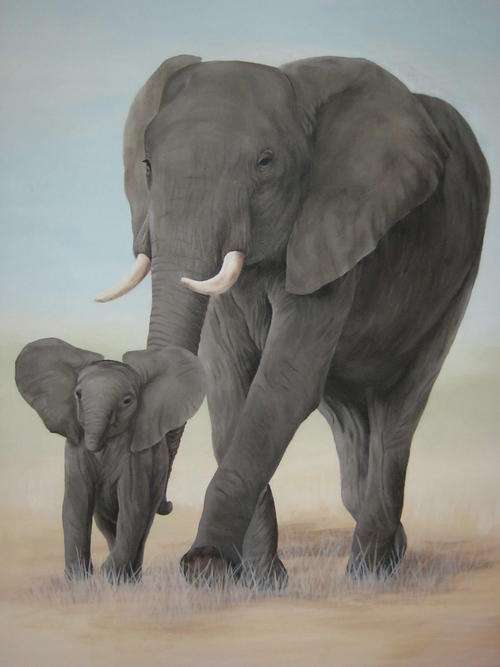 AFRICA'S GENTLE GIANT   BY SALLY DELL