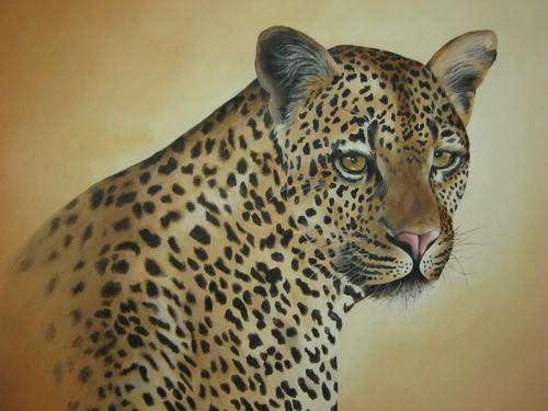 BEAUTIFUL LEOPARD   BY SALLY DELL