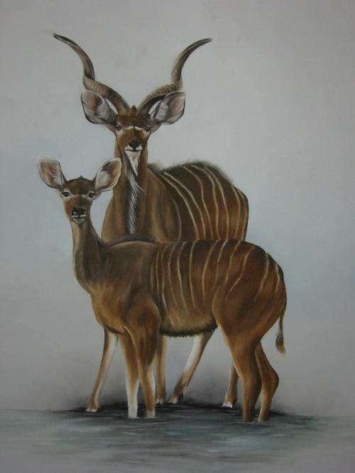 KUDUS AT THE WATERHOLE   BY SALLY DELL