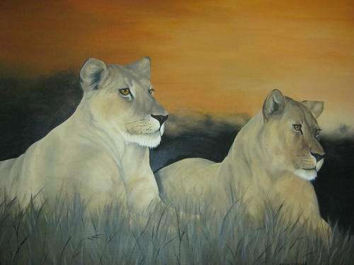 LIONS AT SUNSET