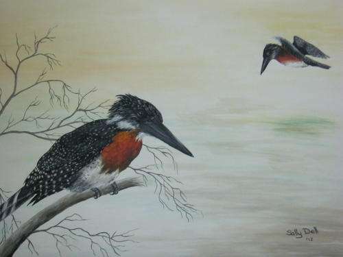 GIANT KING FISHER  BY SALLY DELL