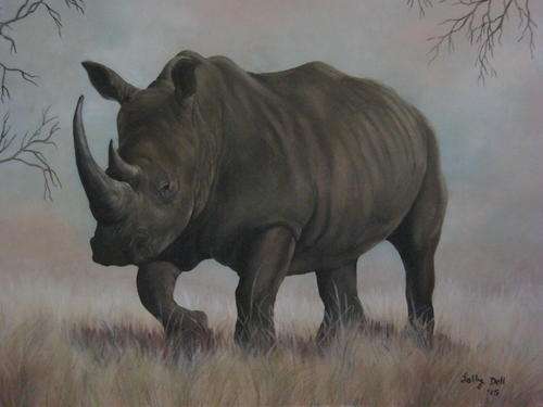 WHITE RHINO  BY SALLY DELL