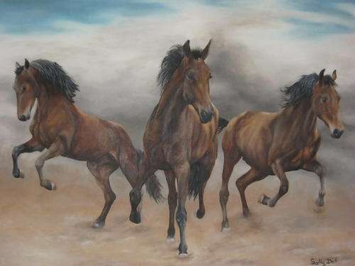 WILD HORSES  BY SALLY DELL