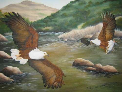 BEAUTIFUL FISH EAGLE  BY SALLY DELL