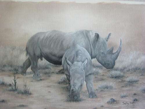 RHINO COW AND CALF  BY SALLY DELL