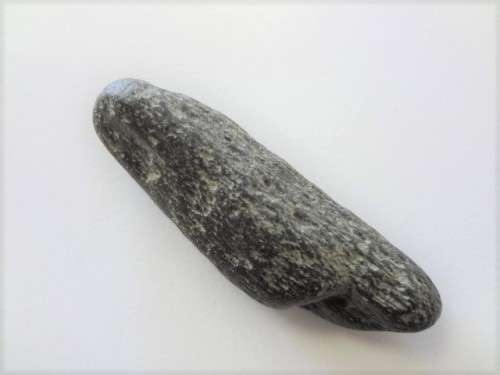 Fossilised shark tooth as per scan