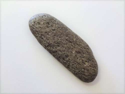 Fossilised shark tooth as per scan