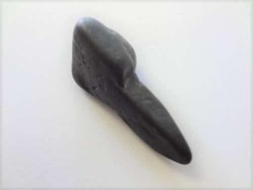 Fossilised shark tooth as per scan