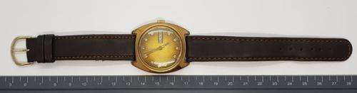 Rodania gent's watch