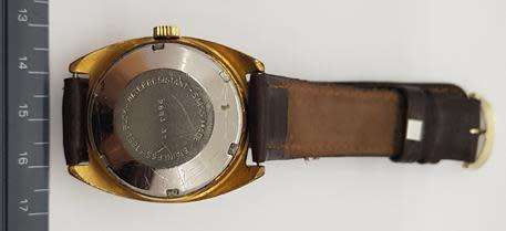 Rodania gent's watch