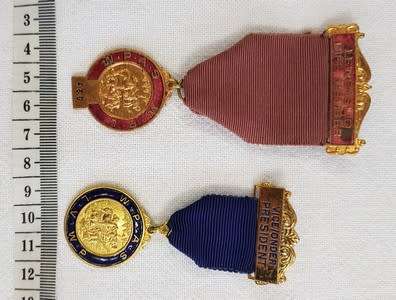 Pair of WP Agricultural Society medallions as per scan