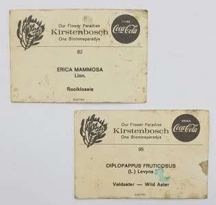 Pair of Kirstenbosch cigarette cards - as per photo