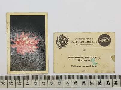 Pair of Kirstenbosch cigarette cards - as per photo