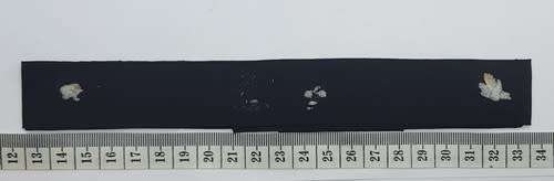 NRP Pacheco Pereira cap tally - 96cm - as per photo