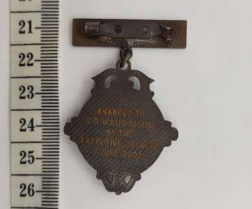South Africa Typographical Union medallion - as per photo